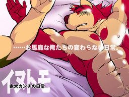 イヌトモ 赤犬カンチの日常