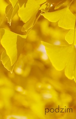 Podzim