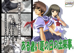 ある暑い夏の日の出来事。