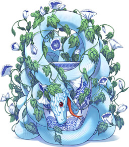 ケテルシェーシャ