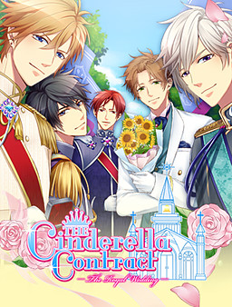 王子さまとイケない契約結婚