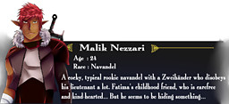 Malik Nezzari