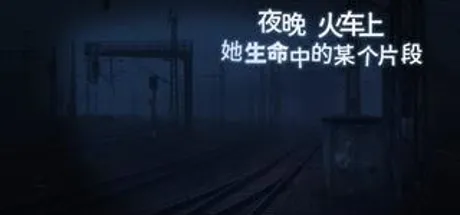 夜晚，火车上，她生命中的某个片段
