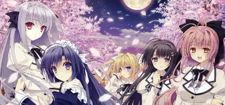 近月少女的礼仪