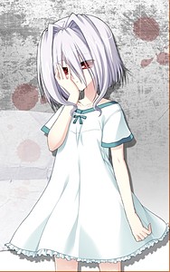 被験体N