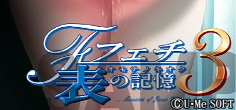 フェチ3 表の記憶