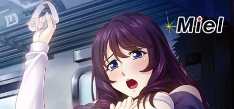 人妻公然恥辱電車 ～携帯一つでお触り即ハメし放題他人の妻を粘着種付け寝取り～