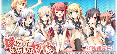 选择妻子的进展似乎顺利过头