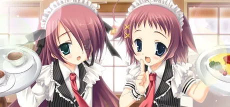 はじめてのおてつだい