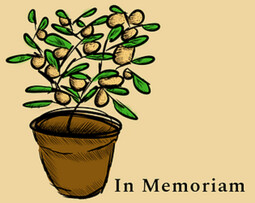 In Memoriam