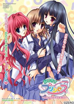 なりきりプリンセス～女になったボクを見て！～