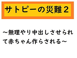 サトピーの災難2