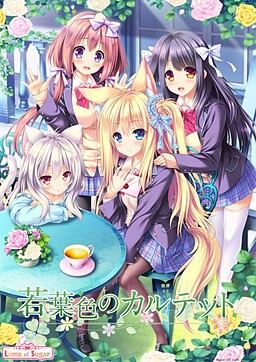 新叶色的四重奏