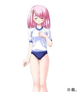 安西 遥