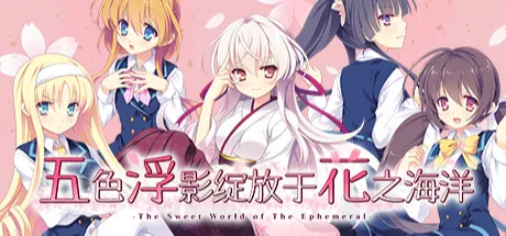 五色浮影绽放于花之海洋