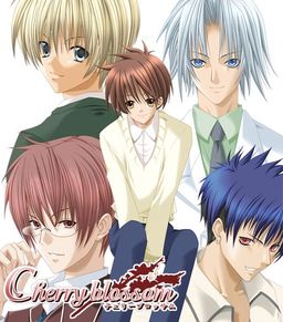 チェリーブロッサム