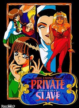 プライベートスレイブ