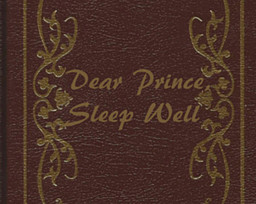 Dear Prince, Sleep Well