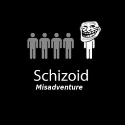 Schizoid Misadventure