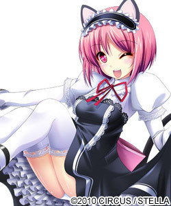 ミスティキャット