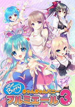 きゃんきゃんバニープルミエール３