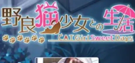 与野猫少女的生活
