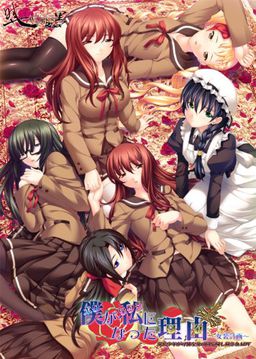 ボクがワタシになった理由～女装計画～