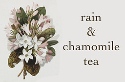 Rain & Chamomile Tea