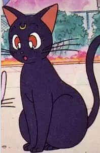 ルナ