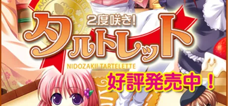 二度绽放!十月樱