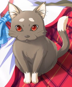 仁科 みのり