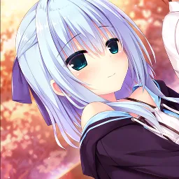 鸡老