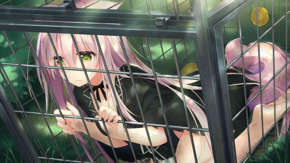 [CG] 兽娘育成方案