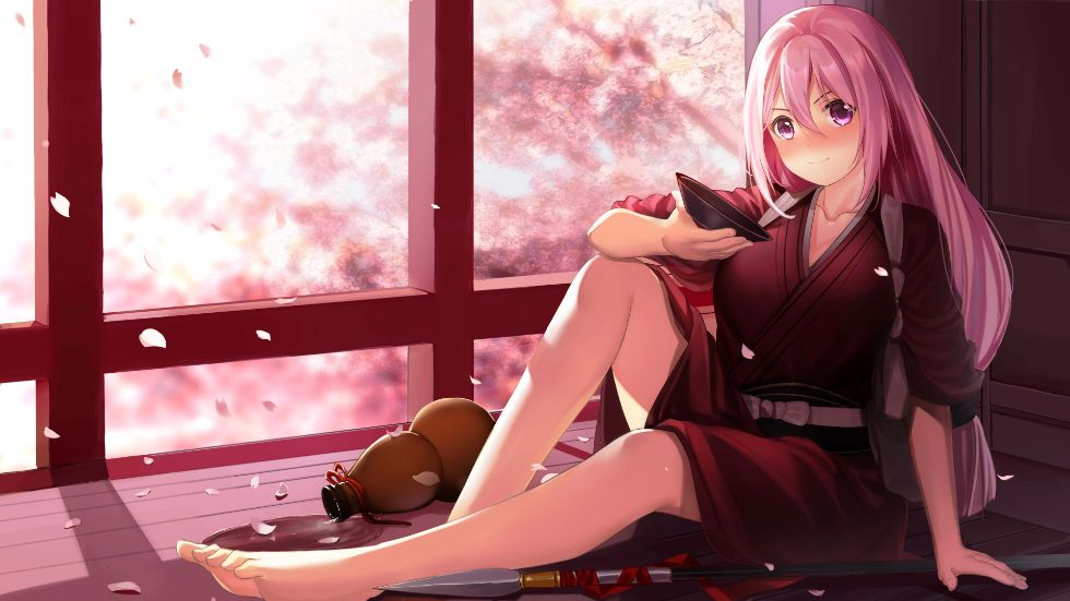 mirror 结野安娜 DLC 插画