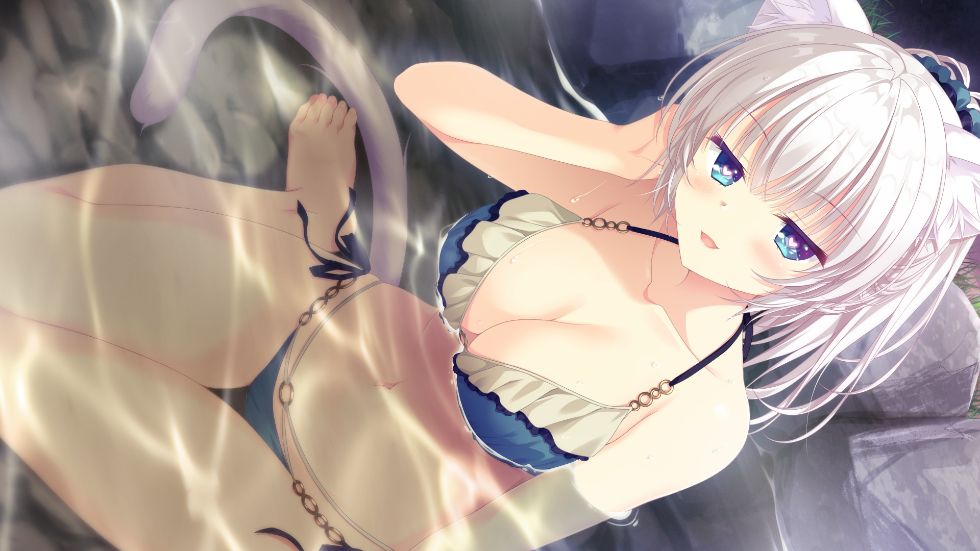 猫忍えくすはーとSPIN! 2（25年11月） 