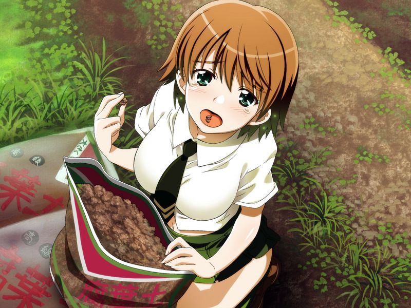 [CG]グリーングリーン OVERDRIVE EDITION