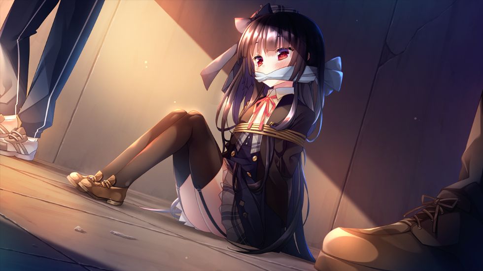 [CG]うちの主は妖怪の常識を知らない