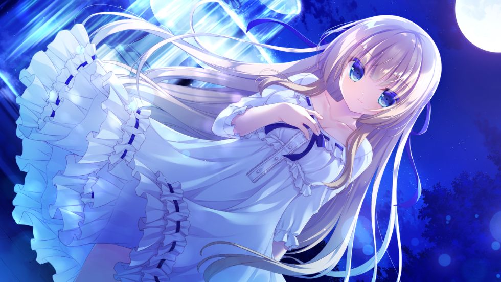 [CG]鍵を隠したカゴのトリ -Bird in cage hiding the key